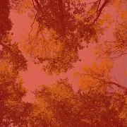 Чувство (Спать)